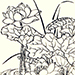 Anonymous Artists Gallery
